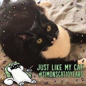 Meet your Posher, Annie